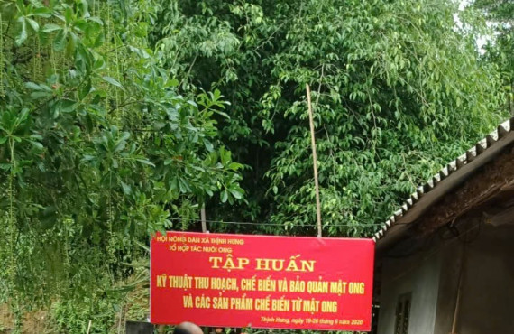 Tham gia các khóa tập huấn về nuôi ong