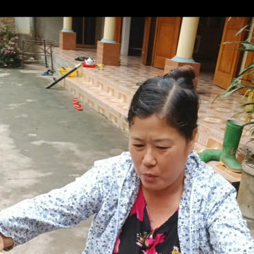 Thu hoạch mật ong