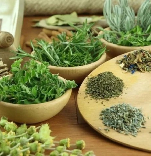 Quy trình trồng cây dược liệu