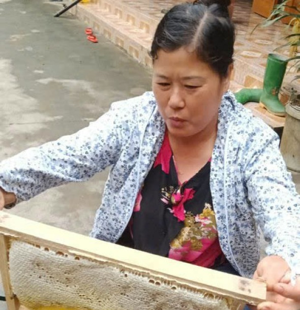 Quy trình thu hoạch mật ong