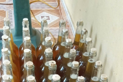 Quy trình sản xuất bưởi Tân Lạc hữu cơ