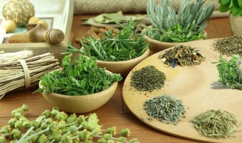 Sản phẩm Cây dược liệu